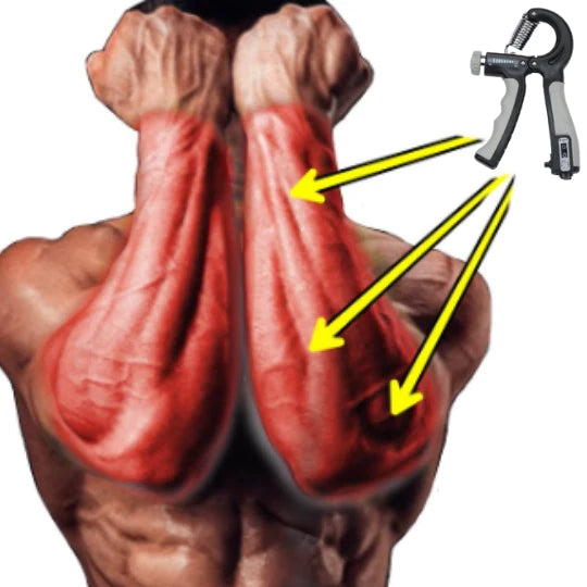 Flexor Force  Complete Workout for Muscle Mass Gain